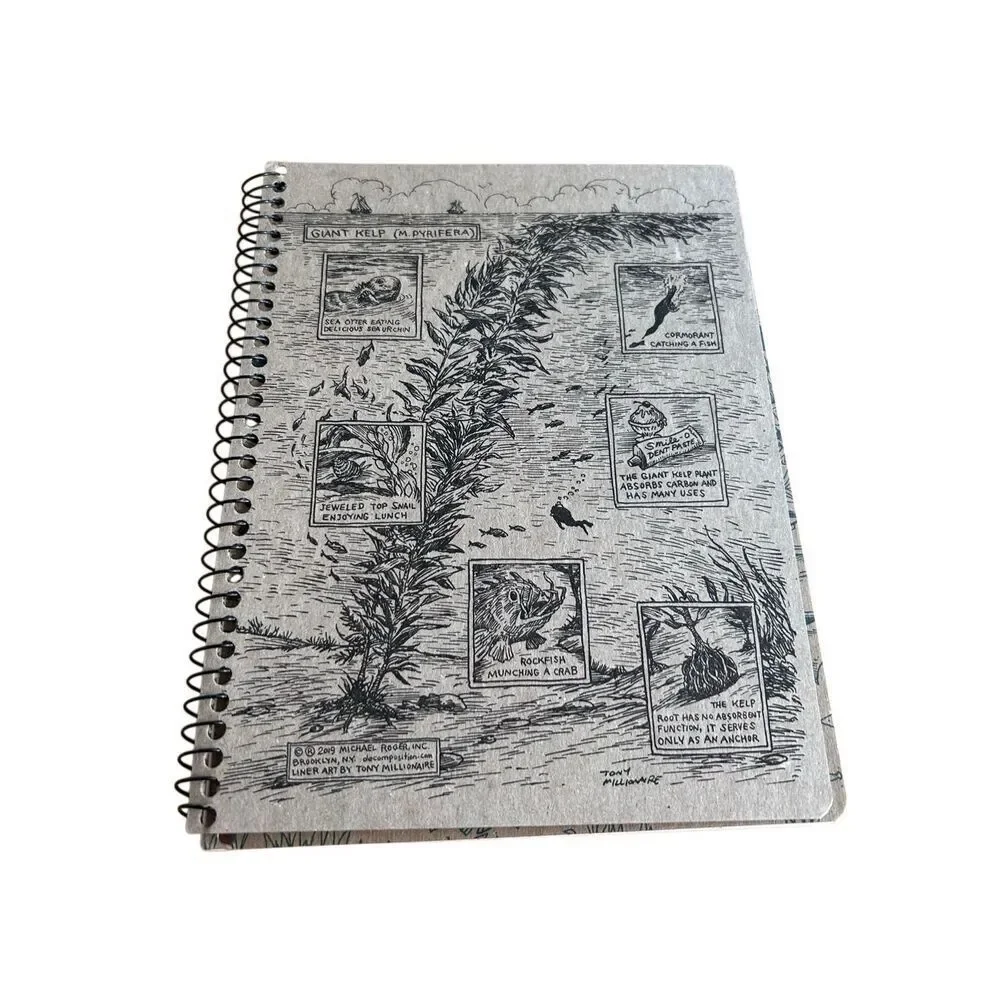 Decomposition Book Everglades College Rule 80 Sheets Gators Manatees Florida Not